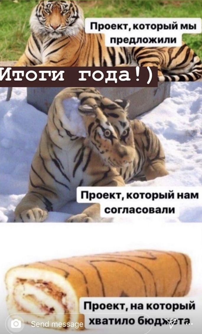 Смешные мемы про тигров и львов