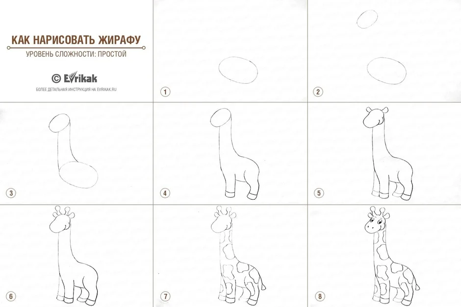 Как нарисовать жирафа | Рисунок жирафа поэтапно карандашом