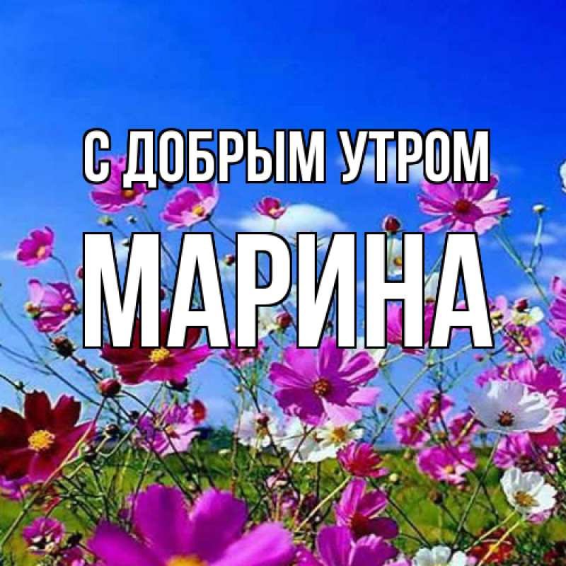 Пожелания доброго утра девушке Марине ласковыми словами