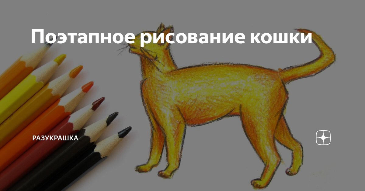 Этапы рисования кошки