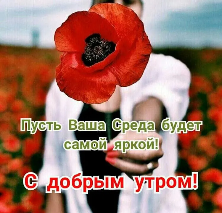 ВОТ и СРЕДА… 😘 — Картинки с добрым утром среды 🦋 — Гиф