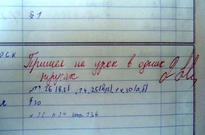 Учительские перлы из школьных дневников