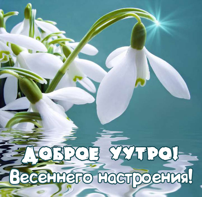 🌸✨🌸 С ДОБРЫМ МАРТОВСКИМ УТРОМ 🌸✨🌸 Прекрасно весеннее