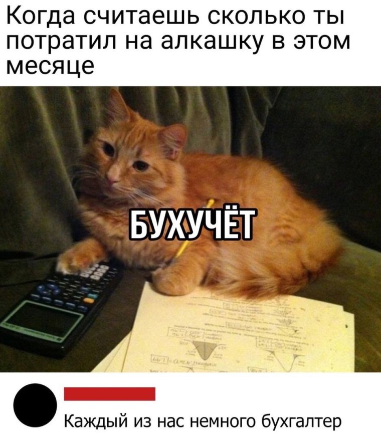 Иногда #Байки_из_бухгалтерии становятся мемами, а иногда мемы