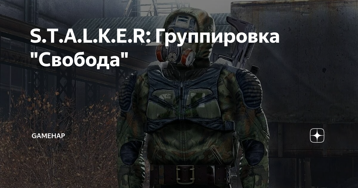 Обложка для паспорта матовая кожа S.T.A.L.K.E.R. свобода