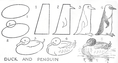 Как нарисовать утку карандашом поэтапно ✏