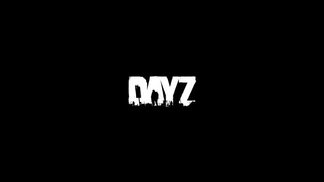 Things Everyone Has Done In DayZ