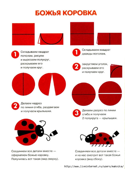 Рисунок божья коровка поэтапно для детей 