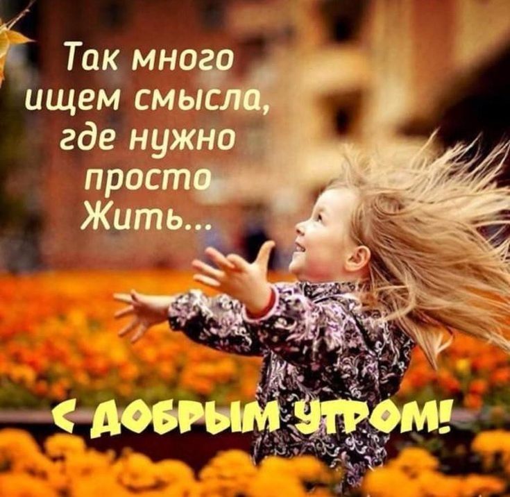 ЦИТАТЫ ЮМОР ЛЮБОВЬ КРАСОТА | #цитаты #жизнь #мысли #супер