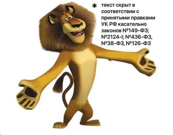 Meme Madagascar GIF