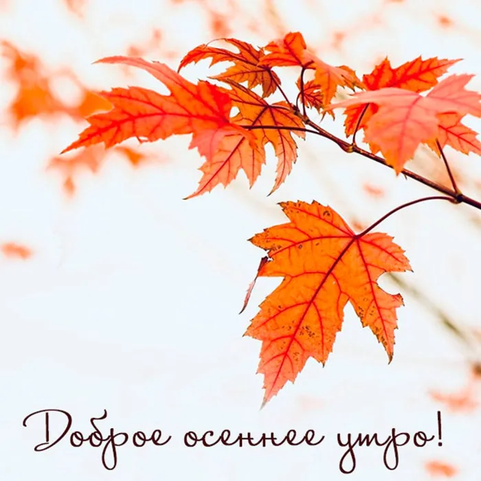 УТРО. УТРО? УТРО! ОЧЕНЬ ДОБРОЕ