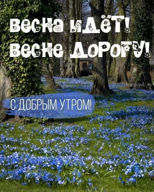 Картинки доброе утро лес весна 