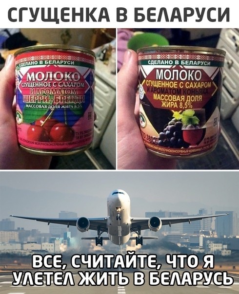 Юмор каждый день