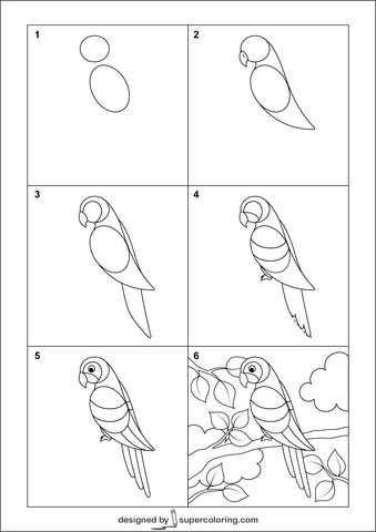 Птицы: рисуем африканского серого попугая