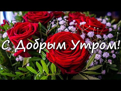 Картинки с добрым утром женщине • Klike.net