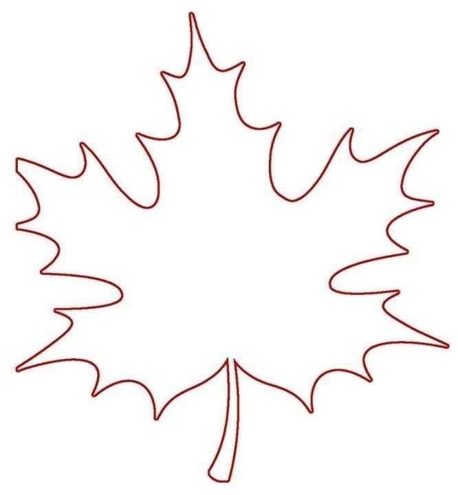 How to draw a maple leaf step by step