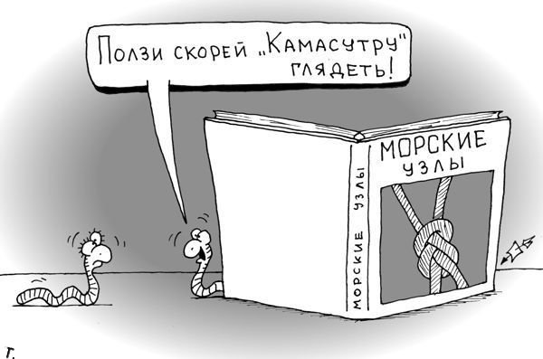 Смешные карикатуры и картинки