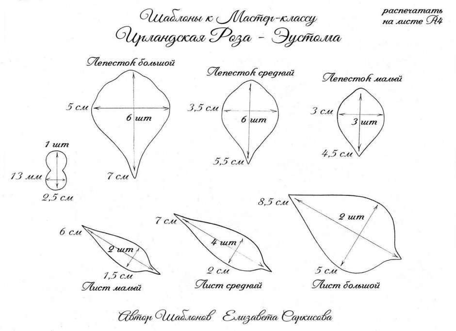 Шаблоны листья и лепестки розы