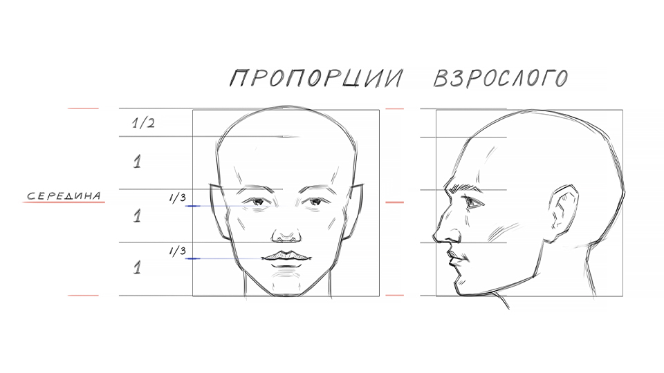 Как нарисовать женщину, девушку. Пошаговая инструкция