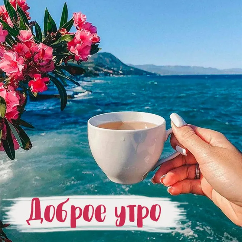 Друзья, доброе утро! ❤ | Группа на OK.ru | Вступай, читай