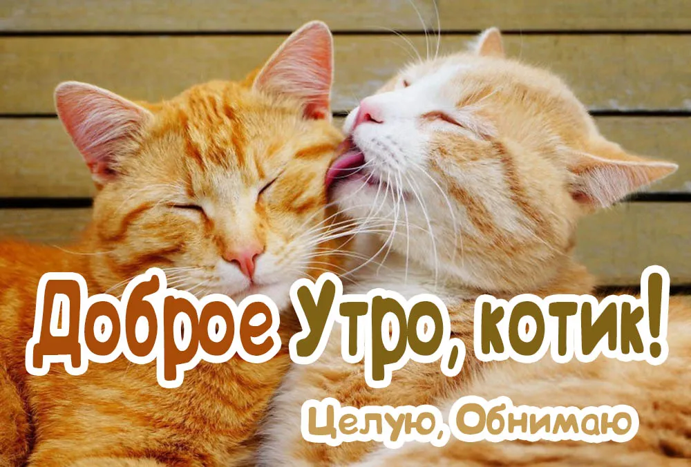 😃 Доброе утро мужчине, пожелание мужчине с добрым утром.