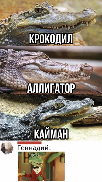 Все мемы Крокодил