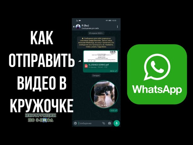 Хотите в мою группу WhatsApp и Telegram, положите себе в