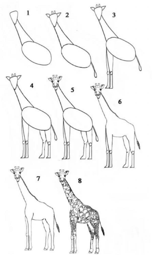 Как нарисовать жирафа Мелмана из Мадагаскара карандашом