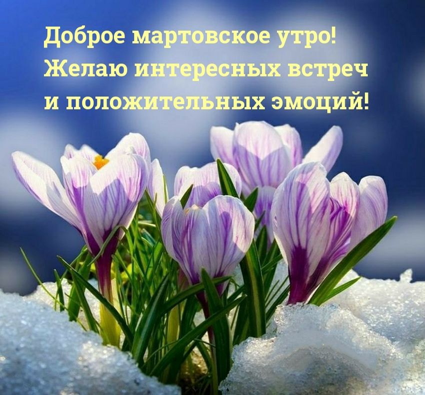 🌸✨🌸 С ДОБРЫМ МАРТОВСКИМ УТРОМ 🌸✨🌸 Как прекрасно