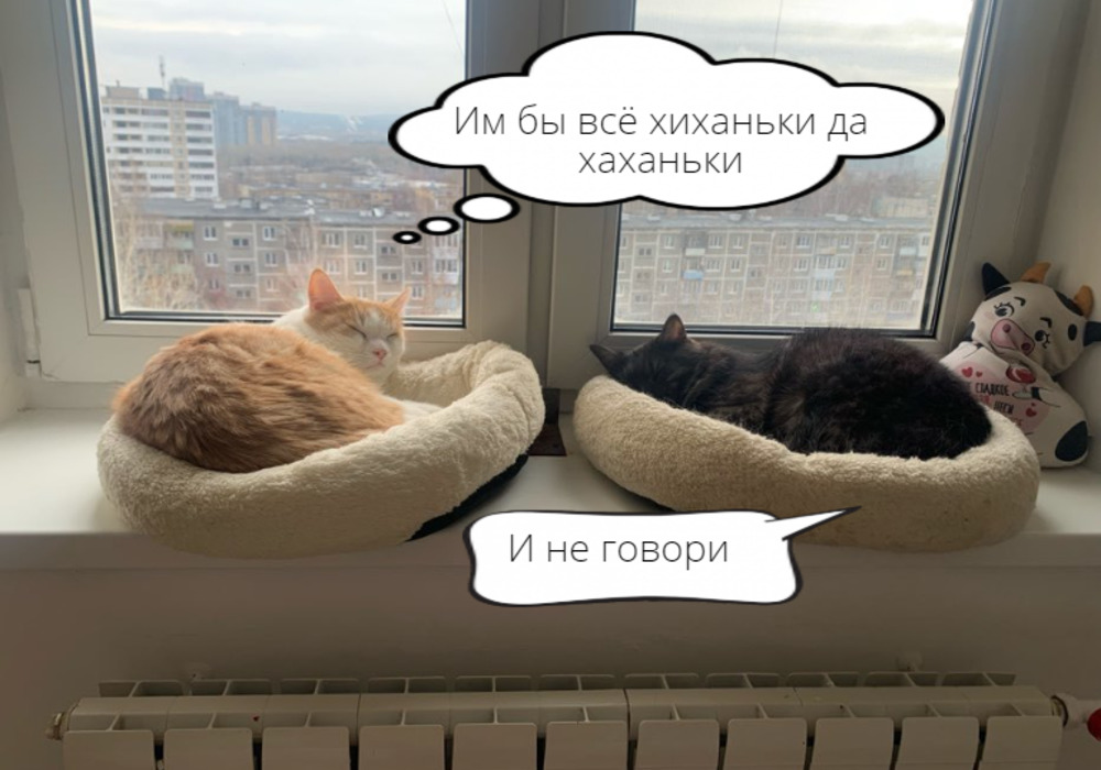 Топ