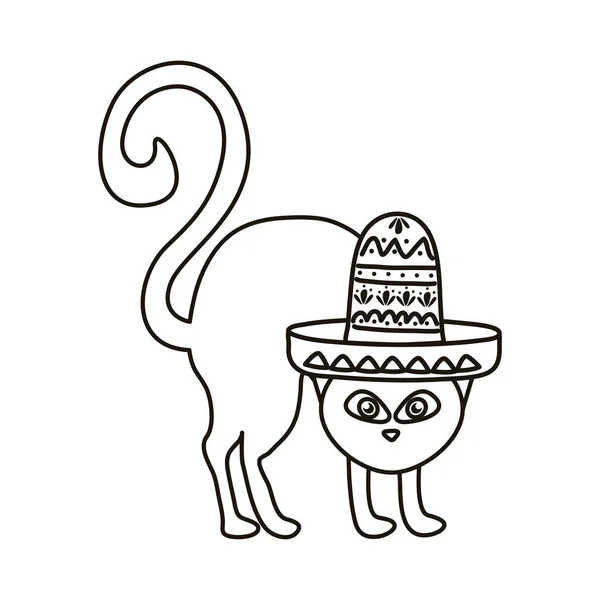 Cat in sombrero