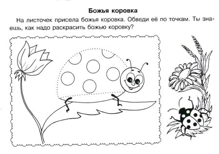 Раскраски коровка, Раскраска Божья коровка на листе Насекомые.