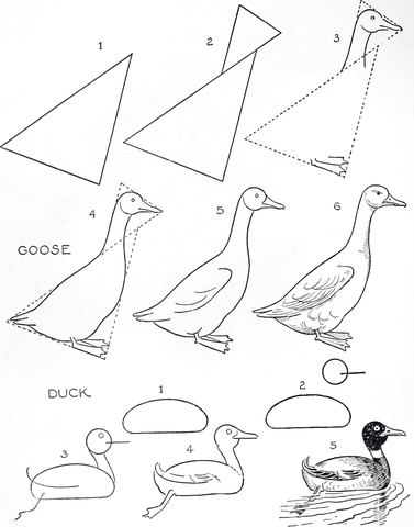 Идеи для срисовки маленький гусь 