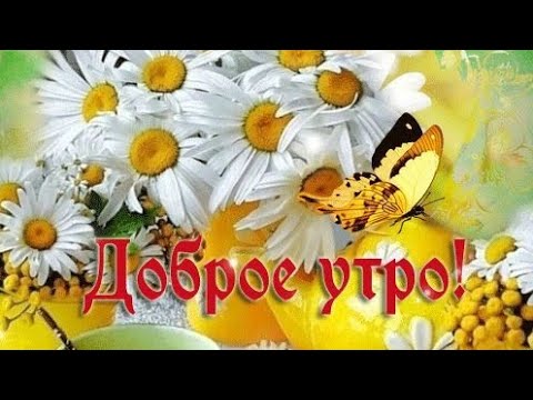 С добрым утром! Мира и солнца вам! | Открытки | ВКонтакте