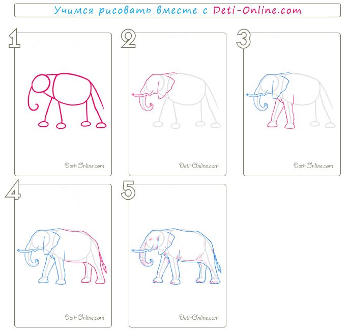 Как нарисовать слона поэтапно: 5 вариантов как легко и просто