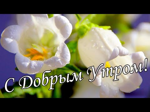 Пожелания Доброго Утра И Хорошего Дня