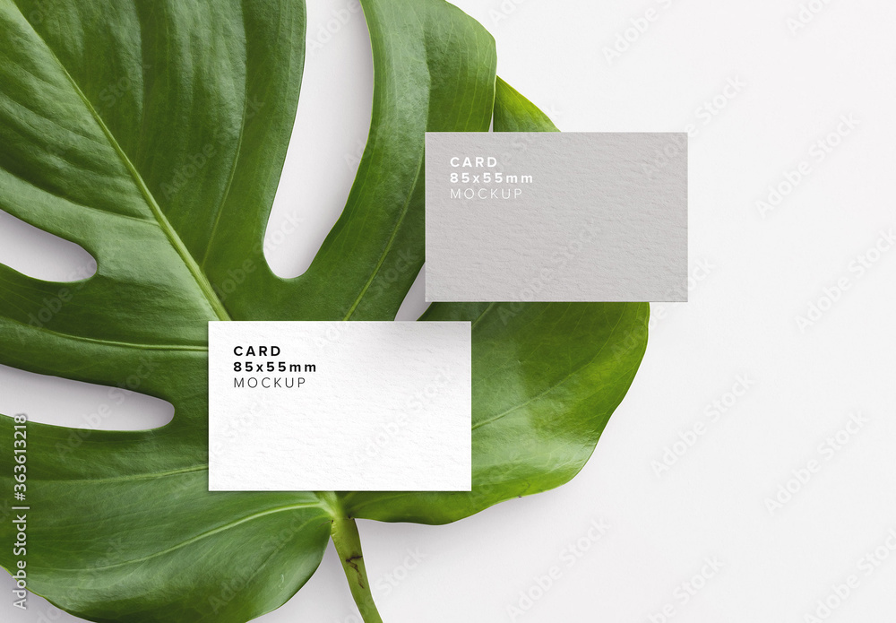 Monstera Leaf Template Leaf Template