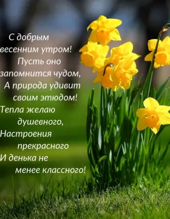 🌸✨☕ Красивые картинки 