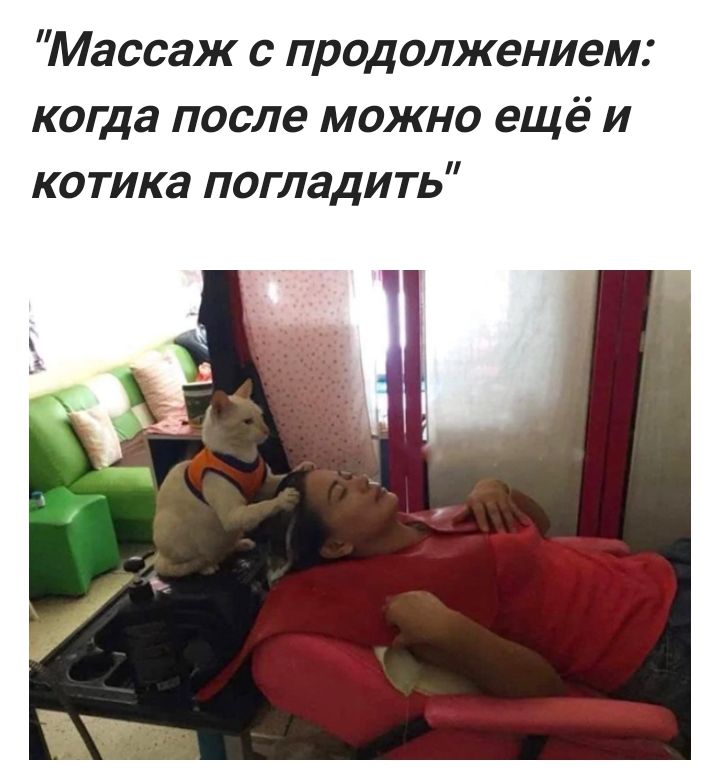 ну сделай массаж!! , Мем ну пожалуйста 