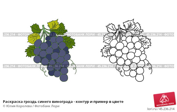 Шаблон для броши Зелёный виноград 241, фетр Корея Премиум