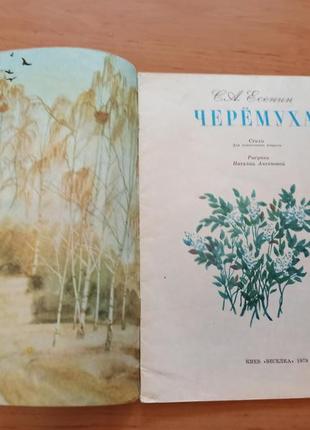 Купить книгу Есенин С. А. 