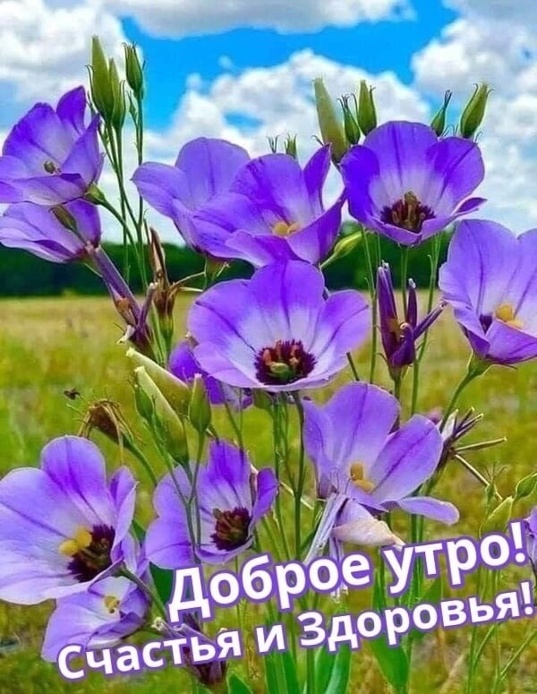 Открытки хорошего здоровья 