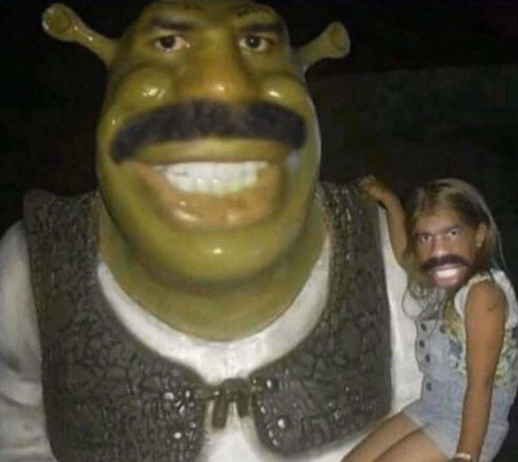 Shrek Meme