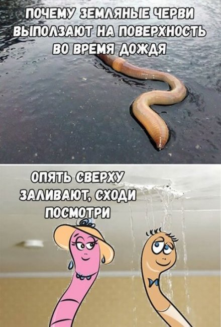 Юмор из соцсетей