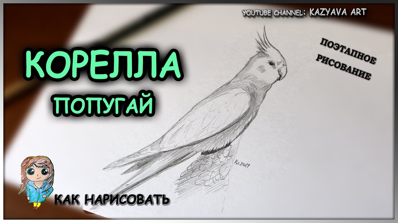 Как нарисовать Попугая, How to draw a Funny Parrot, просто