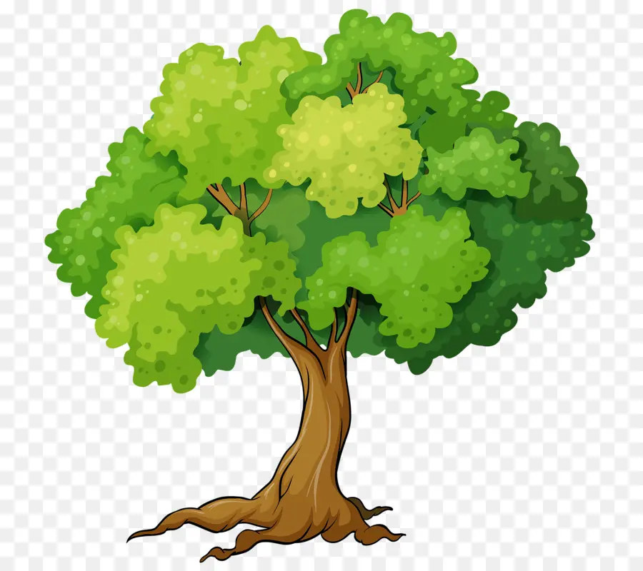 Tree Without Leaves Vector Art