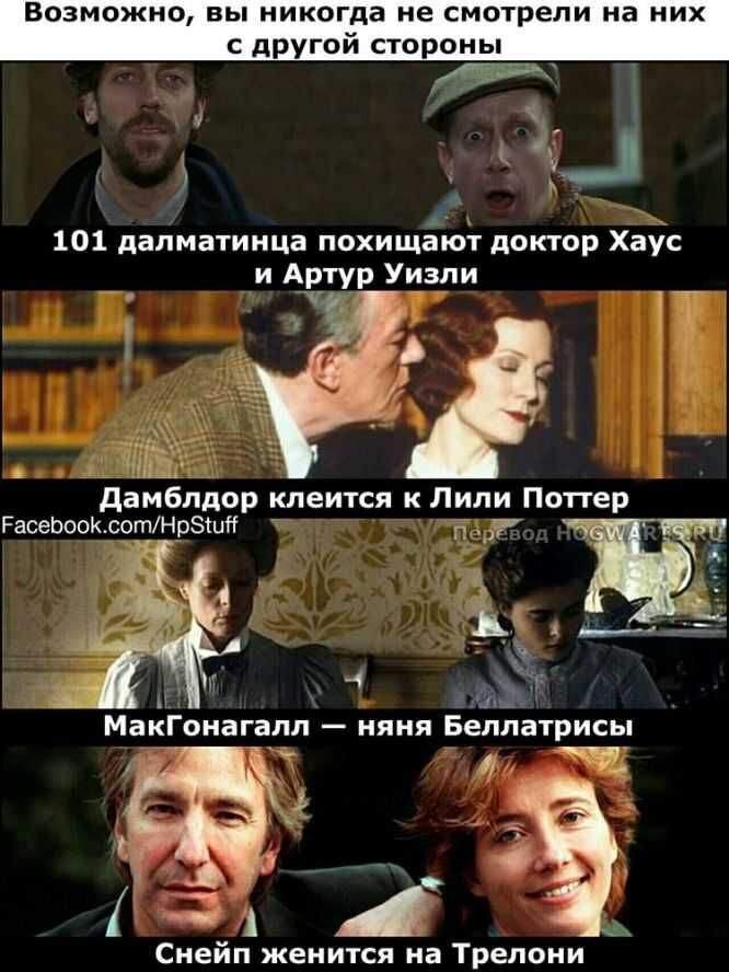 Мемы про Гарри Поттера on X: 