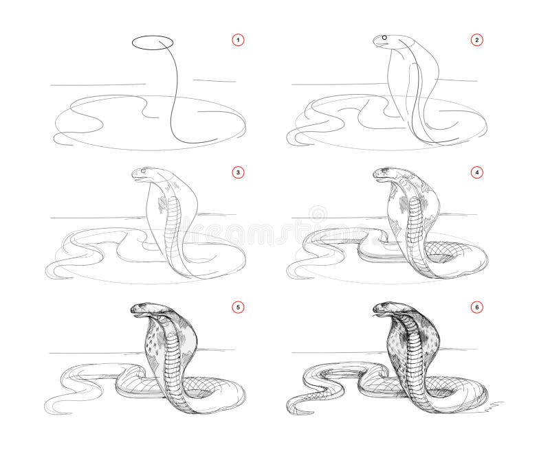 Cute baby cobra vector image on VectorStock