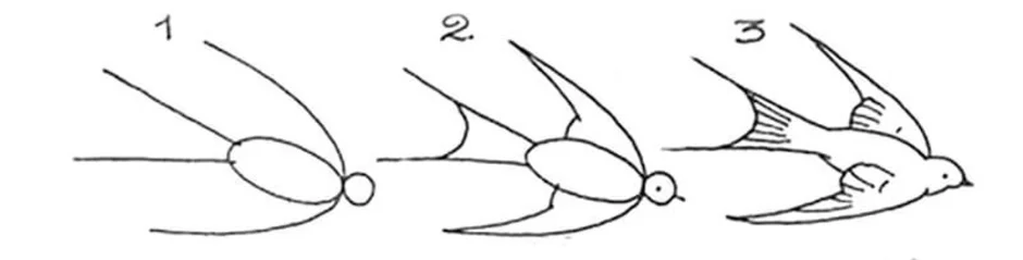 Как нарисовать ласточку карандашом поэтапно