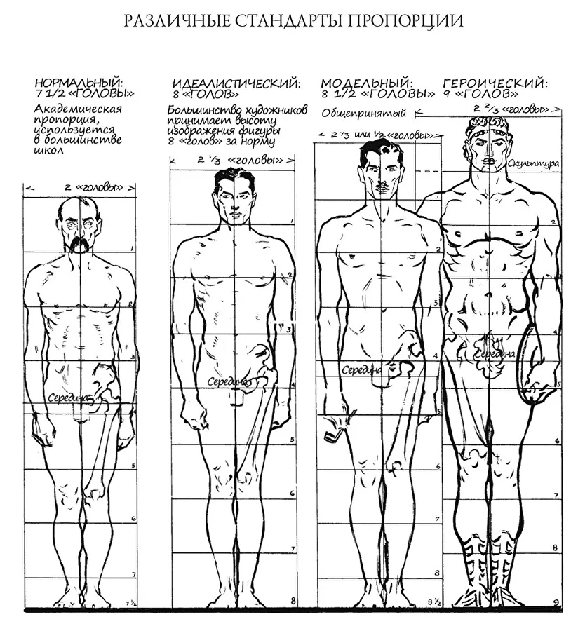 Как рисовать человека? Торс. Анатомия для художника